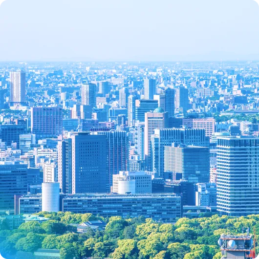 今月のおすすめ